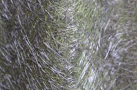 Woodcott fibreglass roof work